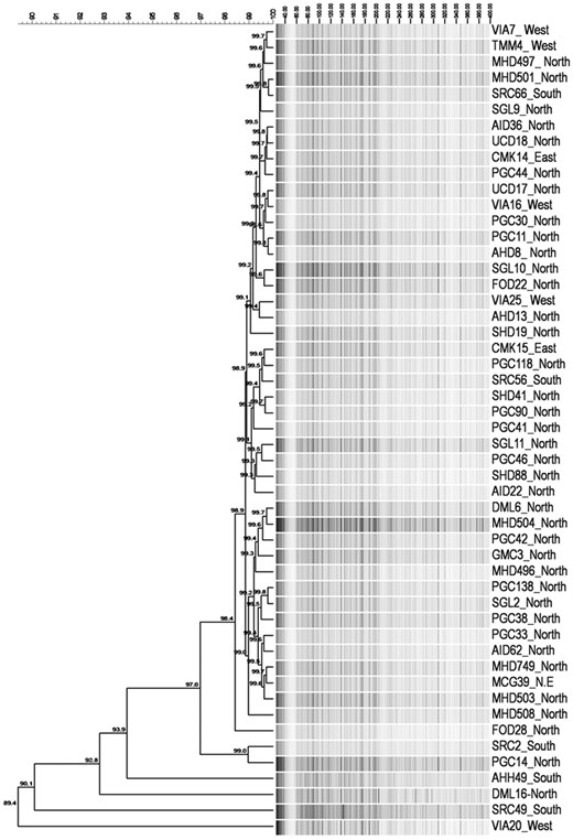 Phylogenetic tree constructed by UPGMA (unweighted pair group method with arithmetic mean) with 1000 bootstrap replications in combination with Pearson’s correlation coefficient.
