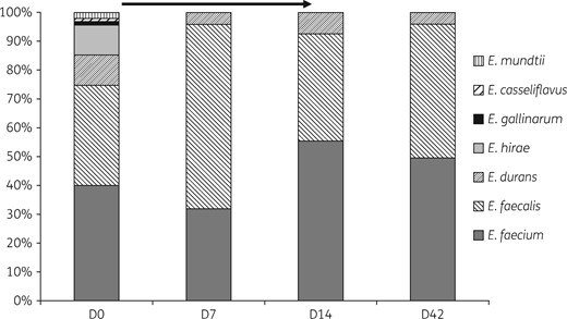 Proportion of the different Enterococcus spp. found in the faeces of 48 healthy volunteers by day of collection. Ciprofloxacin treatment was received from D0 (after sampling) to D14 (indicated as an arrow).
