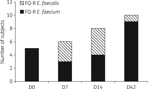 Dynamics of the emergence of FQ-RE among 21 subjects treated with ciprofloxacin from D0 to D14, with FQ-RE isolated at least on 1 day of sampling. Emergence of resistance was maximal during treatment for E. faecalis and after the end of treatment for E. faecium. On D42, 10 subjects carried FQ-RE versus 5 before treatment (P = 0.2). FQ-R, fluoroquinolone resistant.