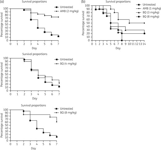 Bromoquinol reduces mortality in G. mellonella larvae infected with A. fumigatus. (a) Bromoquinol at a concentration of 8 mg/kg significantly (P = 0.0024) reduced mortality of Galleria larvae injected with 5 × 105 conidia of A. fumigatus. (b) Bromoquinol at a concentration of up to 8 mg/kg did not reduce mortality in immunosuppressed mice inoculated intranasally with 5 × 105 conidia of A. fumigatus. Antifungal amphotericin B was used as a positive treatment control. AMB, amphotericin B; BQ, bromoquinol.