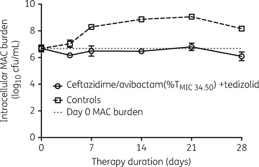 Time–kill curves of the combination of ceftazidime/avibactam and tedizolid in the HFS-MAC. The combination of ceftazidime/avibactam and tedizolid at exposures associated with bacteriostasis successfully prevented bacterial growth for the 28 day duration of the study.
