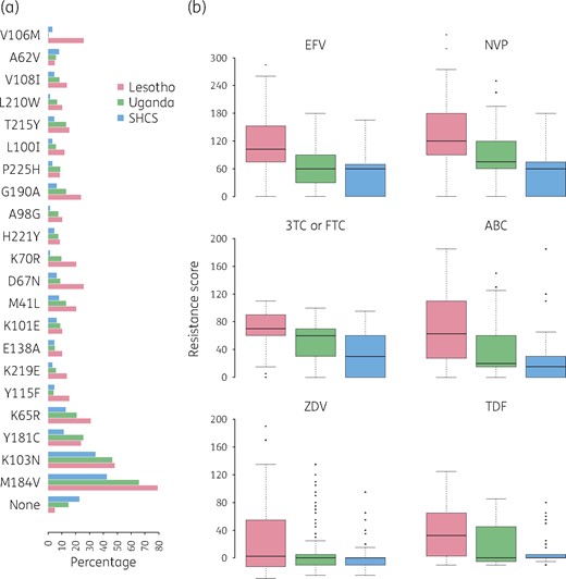 (a) Bar plot showing the percentage of individuals exhibiting the resistance mutations named on the y-axis upon virological failure, stratified by setting. (b) Box plot of resistance scores to EFV, NVP, 3TC or FTC, ABC, ZDV and TDF. The black line in each box represents the median value, and the box depicts the IQR. Whiskers extend to 1.5× IQR (which represents the default in R). Points above and below the whiskers represent outliers. EFV, efavirenz; NVP, nevirapine; 3TC or FTC, lamivudine or emtricitabine; ABC, abacavir; ZDV, zidovudine; TDF, tenofovir disoproxil fumarate. This figure appears in colour in the online version of JAC and in black and white in the print version of JAC.