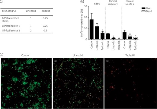 Ability of linezolid and tedizolid to prevent biofilm formation. (a) bMICs of linezolid and tedizolid for the S. aureus 6850 reference strain and two BJI clinical isolates determined using the Antibiofilmogram® method. (b) Proportion of S. aureus viable cells determined using CLSM after treatment with linezolid or tedizolid at bMICs compared with untreated cells. (c) CLSM showing biofilm-embedded viable (green) and dead (red) S. aureus 6850 without treatment (i), after treatment with linezolid (ii) and after treatment with tedizolid (iii). This figure appears in colour in the online version of JAC and in black and white in the print version of JAC.