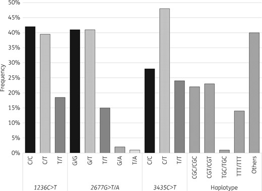 Distribution of ABCB1 SNVs and haplotypes.