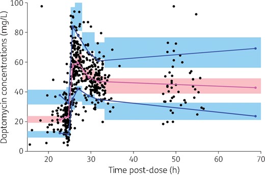 Prediction-corrected visual predictive check from the final model. The black dots are the observations. The blue solid lines are the 10th and 90th percentiles of prediction-corrected daptomycin concentrations and the magenta solid line is the median of observations (i.e. 50th percentile). The blue areas are the 90% CIs of the 10th and 90th simulated percentiles and the pink area is the 90% CI of the simulated median. Simulated percentiles were obtained from 1000 replicates of each individual dataset and the final model parameter estimates. Observations greater than 100 mg/L (n = 9) are not shown for ease of graphical display. Of note, the x-axis represents the time after the previous dose, i.e. the dose administered the day before TDM was performed. This figure appears in colour in the online version of JAC and in black and white in the print version of JAC.