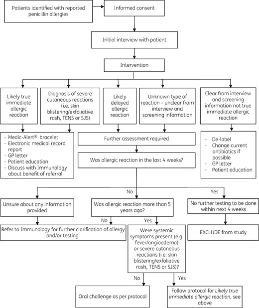 Study protocol. SJS, Stevens–Johnson syndrome; TEN, toxic epidermal necrolysis.