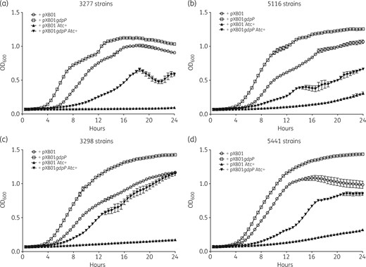 Growth analysis for gdpP-complemented strains in minimal medium SSM9PR. Four isolates with GdpP truncation were complemented with plasmid pXB01gdpP or the empty plasmid pXB01. For the growth curve analysis, overnight cultures were diluted 1:1000 into fresh SSM9PR or SSM9PR supplemented with 200 ng/mL Atc to induce the expression of the plasmid-borne gdpP gene. For each strain, 300 μL of inoculated medium was added into wells of the microplate in triplicate. Fresh medium with Atc was also added to three wells acting as blank controls. Cultures were incubated at 37°C with continuous shaking for 24 h and OD600 was measured every 30 min.