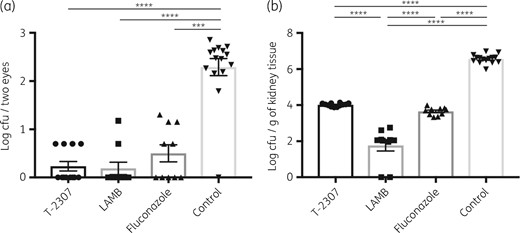 Fungal burden in the eyes (a) and the kidneys (b) of mice after infection with C. albicans and antifungal agent treatments in the early-phase treatment experiments. Ocular and kidney fungal burden is shown as log cfu/two eyes and log cfu/g of kidney tissue, respectively. All results are expressed as mean ± SEM and data were pooled from three independent experiments (T-2307 group, n = 12; LAMB group, n = 10; fluconazole group, n = 10; and control group, n = 15). ***P < 0.001 and ****P < 0.0001.