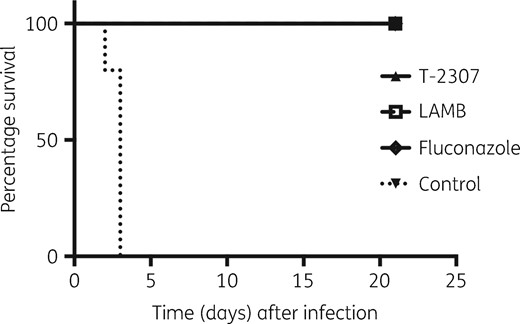 Survival rates of untreated and T-2307-, LAMB- or fluconazole-treated mice after infection. T-2307 group, n = 6; LAMB group, n = 5; fluconazole group, n = 5; and no-treatment control group, n = 5.