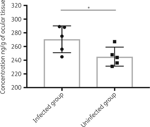 Ocular T-2307 trough concentration. Ocular T-2307 concentration is shown as ng/g of ocular tissue. All results are expressed as mean ± SD (n = 5 for each group). *P < 0.05.