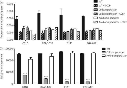 Membrane potential and ATP concentration. (a) Membrane potential in four A. baumannii isolates (C010, 07AC-032, C111 and E07-612) and their colistin or amikacin persisters. Independent experiments were repeated three times and each experiment was performed in duplicate. CCCP was used as the negative control. (b) ATP concentration inside the cells in four A. baumannii isolates (C010, 07AC-032, C111 and E07-612) and their colistin or amikacin persisters. Three independent assays were repeated, and each was performed in triplicate. ***P < 0.0001.