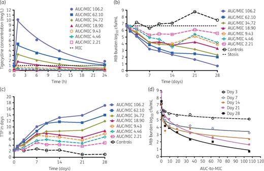 Bactericidal effect of tigecycline on Mtb in log-phase growth. Results are given for each HFS-TB unit. The filled symbols indicate doses that achieved peak concentrations above the MIC. (a) Tigecycline was administered once per day for 28 days and the concentration–time profiles achieved are shown. The line graphs are pharmacokinetic model derived (t½ = 12.6 ± 3.1 h) and the symbols are observed concentrations. The regimen designated with the orange open circles gives the concentration–time profile achieved by the 100 mg/day dose, which is the standard dose. (b) Time–kill for each dose indicates that even the low doses that had peak concentrations ∼5-fold below the MIC of 1 mg/L killed 1.1 log10 cfu/mL below the day 0 bacterial burden. (c) TTP assay demonstrated that the non-treated controls continued in log-phase growth. The microbial kill patterns were similar to the cfu/mL bacterial burden measure. (d) Bacterial burden versus exposure (AUC/MIC) was modelled using the inhibitory sigmoid Emax model and demonstrates dramatic exposure-dependent kill. This figure appears in colour in the online version of JAC and in black and white in the print version of JAC.