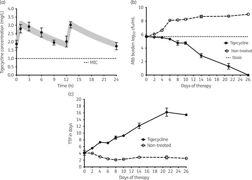 Intracellular bacillary response to tigecycline. The symbols and error bars are the mean values and standard deviations for three HFS-TBs at each timepoint. (a) Tigecycline concentrations measured in each HFS-TB at each timepoint were used for pharmacokinetic modelling. The shaded area is the 95% CI for the pharmacokinetic model; the observed concentrations demonstrated that the model fitted the data well. (b) There was dramatic kill and total elimination of Mtb by day 26 (end of experiment) by these tigecycline concentrations, based on cfu/mL. (c) When bacterial burden is shown as TTP, which increases with decreased bacterial burden, the same dramatic kill is shown; however, there was no total elimination of Mtb by this more sensitive assay.
