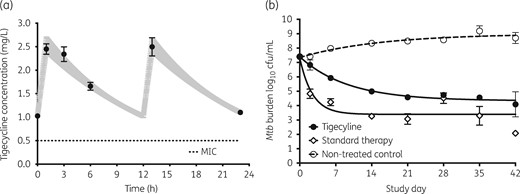 Sterilizing effect of tigecycline compared with standard therapy. The symbols and error bars are the mean values and standard deviations for three HFS-TBs at each timepoint. (a) Tigecycline concentrations measured in each HFS-TB were examined as a one-compartment model; the pharmacokinetic-model-derived concentrations are shown as the shaded 95% CI and observed concentrations are shown as circles. The concentrations are those that would be achieved by the standard tigecycline dose in the lung. (b) Sterilizing effect of tigecycline was less than that of the three-drug combination of first-line drugs, but was very high for monotherapy.
