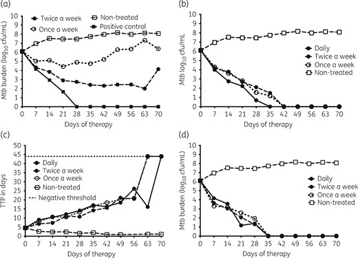 Effect of once-a-week versus twice-a-week versus daily tigecycline dosing. (a) Microbial kill with the EC20 dose as measured by cfu/mL was better with the twice-a-week dosing schedule compared with the once-a-week schedule. A daily dosing schedule was not examined for the EC20 dose. Rather, the positive control was the highest daily dose identified as leading to sterilization in earlier HFS-TB studies. (b) Microbial kill with the EC50 dose is shown using cfu/mL, which shows that the twice-weekly and once-weekly doses performed the same and lagged the daily therapy slightly based on cfu/mL. (c) However, based on TTP all three dosing schedules killed at the same rate for the EC50. (d) Microbial kill with the EC80 dose was similar with all three dosing schedules, when measured either as cfu/mL or TTP (Figure S1). This means that, at optimal exposures, as long as the same cumulative tigecycline dose is administered, once-a-week therapy is as good as daily therapy.