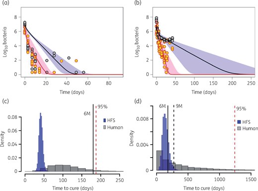 Transforming the HFS-TB data to patients. (a and b) Trajectories of bacterial subpopulations (extracellular log phase plus intracellular in red and non-replicating persisters in black) in the HFS-TB. (a) Trajectories of both Mtb subpopulations under combination therapy with isoniazid/rifampicin/pyrazinamide. (b) Trajectories of both Mtb subpopulations under monotherapy with tigecycline. The TTE for tigecycline was longer than with standard therapy. (c) Morphism transformation to patients, followed by simulations of TTE based on Latin hypercube sampling reveals that most patients on standard combination therapy had achieved cure by the 6 month timepoint. (d) Transformation and Latin (with Latin hypercube sampling-aided simulations) on tigecycline monotherapy shows that TTE for tigecycline monotherapy is longer, but with a majority of patients achieving TTE by 12 months. 6M, 6 months; 9M, 9 months. This figure appears in colour in the online version of JAC and in black and white in the print version of JAC.