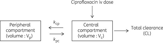 Structural PK model for ciprofloxacin. kcp, rate constant for drug distribution from the central to peripheral compartment; kpc, rate constant for drug distribution from the peripheral to central compartment.