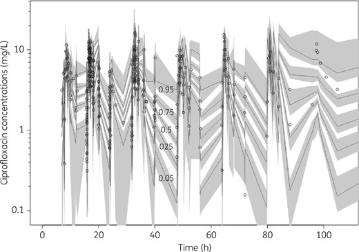 VPC of total ciprofloxacin plasma concentrations. The median and 5th to 95th percentiles of simulated data, with their respective 95% CIs, are shown. Individual circles represent observed data.