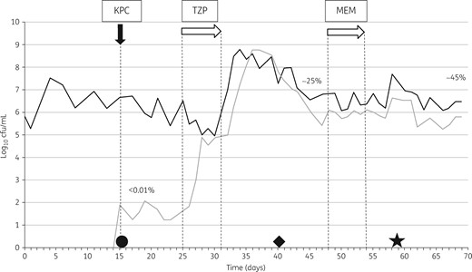 KPC model. Bacterial growth on logarithmic scale. The filled arrow indicates the inoculation phase and the open arrows indicate antibiotic instillation. KPC, K. pneumoniae with blaKPC, TZP, piperacillin/tazobactam; MEM, meropenem. The black line shows the total lactose-fermenting population and the grey line shows carbapenemase-producing K. pneumoniae. The percentages of resistant bacteria are calculated as a proportion of the total Enterobacteriaceae. Circle, strain LCC078; diamond, strain LCC093; star, strain LCC096.