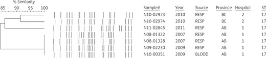 PFGE subtyping with SpeI of all GES-5 isolates (n = 7). Genetic relatedness was observed with MLST (all seven isolates were ST17). PFGE also demonstrated high discriminatory power with certain band changes over time.