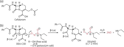 Chemical structures. (a) Structure of the first-generation cephalosporin antibiotic cefaloram. (b) Structure of DEA-C3D (free acid and potassium salt forms) and NO release mechanism following reaction with β-lactamases (β-Lac). This figure appears in colour in the online version of JAC and in black and white in the print version of JAC.