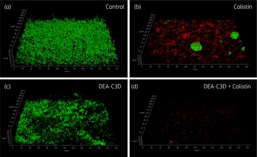 DEA-C3D enhances the activity of colistin against P. aeruginosa biofilms. Biofilms formed by clinical CF isolate PA68 were treated with 16 mg/L colistin (b), 256 μM DEA-C3D potassium salt (c) or DEA-C3D/colistin combination (d), and stained with SYTO9 (green=viable cells) and propidium iodide (red=dead/damaged cells) before imaging by CLSM. Untreated control biofilms are shown in (a). Representative 3D images for each treatment are shown; x- and y-axes=246 μm by 246 μm. Experiments were carried out in duplicate and showed similar results.