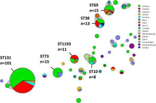 Minimum spanning tree of the MLST profiles of 225 cefotaxime-resistant E. coli isolates. The shaded areas represent SLVs. Members of the most prevalent STs (more than four representatives) are labelled and their number of representatives indicated. The diameter of the circle represents the number of isolates of that particular ST and the coloured segments indicate which cefotaxime-resistance mechanisms were identified. Thick solid lines represent SLVs, thin solid lines represent double-locus variants and dashed connecting lines indicate multilocus variants. This figure appears in colour in the online version of JAC and in black and white in the print version of JAC.