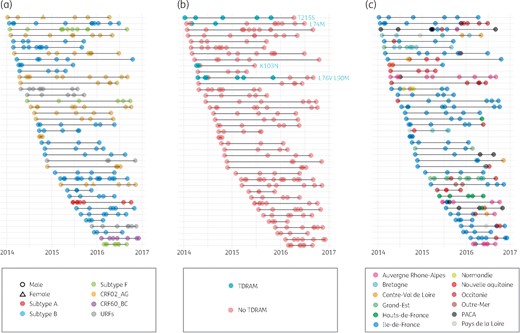 Time distribution of large RTCs (>3 sequences included). Each line represents a distinct large cluster of transmission, while each dot depicts the inclusion date of each corresponding patient. (a) Colours and shapes represent viral lineage and patient’s sex. (b) Colours represent the presence or absence of TDRAMs. (c) Colours represent the region of diagnosis. PACA, Provence-Alpes-Côte d'Azure. This figure appears in colour in the online version of JAC and in black and white in the print version of JAC.
