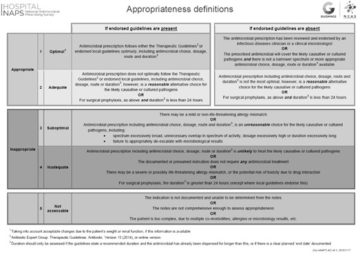 Definitions of appropriate prescribing for auditors.