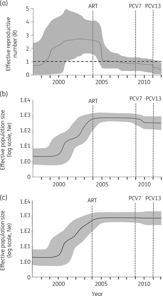 (a) Birth–death skyline plot of inferred changes in R of S. pneumoniae tet(S/M) CC230 sublineage using IPD isolates (n=105). (b) Coalescent-based skyline plot of inferred changes in the effective population size (Ne) of the S. pneumoniae tet(S/M) CC230 sublineage using both IPD and carriage isolates (n=129) and (c) using only IPD isolates (n=105). The black continuous line shows the median of R in (a) and Ne in (b) and (c). The background area represents the 95% HPD intervals. R>1 indicates a growing epidemic, whereas R<1 indicates a declining epidemic.