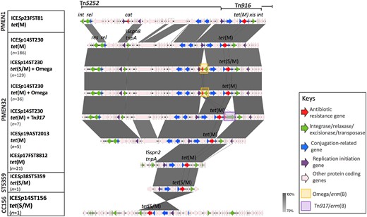 Comparison of ICE identified in CC230 with Spain23F-1 (PMEN1). Grey bands between the sequences indicate BLASTN matches.