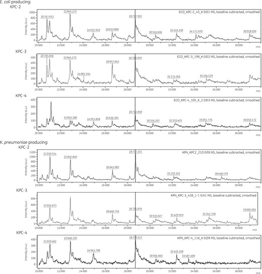 Mass spectra of KPC-2, KPC-3 and KPC-4 producers. Mass spectra were obtained from lysates of E. coli and K. pneumoniae clinical strains producing any of the KPC subtypes using Microflex. The x- and y-axes indicate observed m/z values and intensities, respectively, and the vertical line represents m/z 28 718.13, the theoretical m/z of the KPC-2 polypeptide.