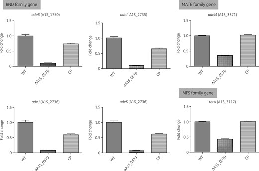 Effect of ΔA1S_0579 mutation on expression of EP genes using qRT–PCR. The A. baumannii WT, ΔA1S_0579 and CP strains were cultured to early stationary phase. Gene expression levels of EPs (RND, MATE and MFS families) were quantified by qRT–PCR.