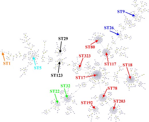 Clustering of E. faecium STs at the SLV level using goeBURST. A total of 1640 MLST profiles were obtained from the PubMLST database and 1065 STs are grouped into a large complex group (ST17 as primary founder). Each ST is represented as a node and lines connect SLVs. Major STs previously identified as CC1, CC5, CC9, CC17 and CC22 are shown in orange, light blue, blue, red and green, respectively. ST29 and ST123 didn’t belong to any of the CC17, CC5 and CC9 groups. This figure appears in colour in the online version of JAC and in black and white in the print version of JAC.