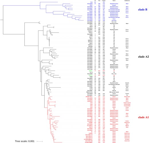 Core-genome tree built from E. faecium isolates QF25-1 and WZ27-2 along with publicly available genomic data for 91 E. faecium. ClustalW was used to align the genome sequences under default parameters and the alignment was checked manually. Maximum-likelihood (ML) methods were performed for the genome-wide phylogenetic analyses using PhyML 3.0. Nucleotide substitution model selection was estimated with jModelTest 2.1.10 and Smart Model Selection in PhyML 3.0. The model GTR+G was selected for ML analyses with 1000 bootstrap replicates to calculate the bootstrap values of the topology. The results were treated with iTOL 3.4.3 and visualized by FigTree with a midpoint root. AUS, Australia; BEL, Belgium; CHN, China; DEU, Germany; DNK, Denmark; ESP, Spain; FRA, France; GBR, Great Britain; HUN, Hungary; IND, India; IRL, Ireland; ISR, Israel; ITA, Italy; KOR, South Korea; LVA, Latvia; NLD, Netherlands; NOR, Norway; PRT, Portugal; SWE, Sweden; TZA, Tanzania; USA, United States of America; ZAF, South Africa. This figure appears in colour in the online version of JAC and in black and white in the print version of JAC.