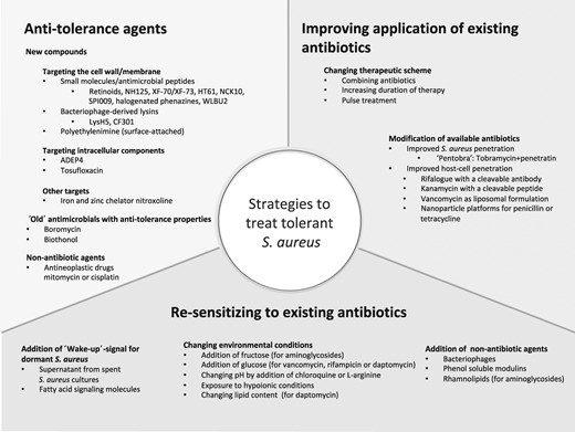 Published strategies for the possible treatment of tolerant S. aureus infections.