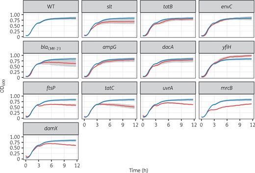 Growth curves of isogenic mutants for genes identified by TraDIS. Growth kinetics of WT (blue line) versus mutants (red line) in LB containing 4 mg/L cefotaxime. Data (n = 3) were combined from three independent experiments, presented as mean (solid line) ± SEM (grey shades). This figure appears in colour in the online version of JAC and in black and white in the print version of JAC.