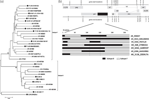 Characterization of HIV-1 subtype in the IN region. (a) Neighbour-joining phylogenetic tree, showing clustering of 863 bp IN sequences (codons 1–288) with subtype B or F reference strains. Subtype reference sequences are shown with filled symbols. (b) Schematic representation of BF intersubtype mosaic structures in the HIV-1 IN genomic region.