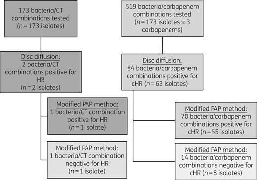 Screening and confirmation for carbapenem and ceftolozane/tazobactam heteroresistance. Ceftolozane/tazobactam and three carbapenem agents (imipenem, meropenem and ertapenem) were tested against a total of 173 isolates. Heteroresistance screening was performed by disc diffusion; strains positive for the heteroresistant phenotype were further tested by PAP for confirmation based on growth of colonies on antibiotic-containing plates at 8× MIC. CT, ceftolozane/tazobactam; HR, heteroresistance.