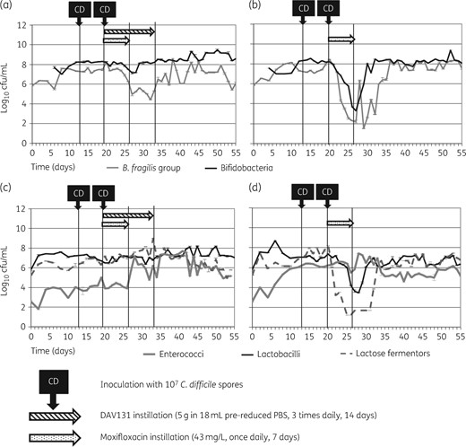 Mean (±SE) viable counts of selected microbiota populations from vessel 3 of the gut models. (a) Obligate anaerobes in Model A (instilled with DAV131A and moxifloxacin); (b) obligate anaerobes in Model B (instilled with moxifloxacin alone); (c) facultative anaerobes in Model A; (d) facultative anaerobes in Model B.