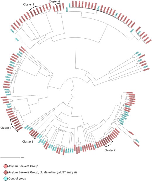 cgMLST Neighbor–Joining tree, including asylum seeker and control group isolates. Genomes were analysed using an ad hoc E. coli scheme based on 2764 targets, including 24 2851 bp. Control group isolates were from health institutions near the Dutch–German border region. Isolates that formed clusters in further phylogenetic analysis are indicated in dark pink. This figure appears in colour in the online version of JAC and in black and white in the print version of JAC.