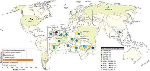 Distribution of OXA-48-like-encoding genes worldwide.