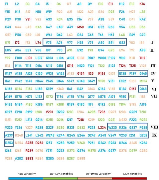 Conservation degree of integrase amongst the 37 HIV-1 clades found locally. Sequences containing the 288 amino acids of HIV-1 integrase were aligned and compared with the reference strain B (HXB2) for the entire study population. Depiction of HIV-1 integrase is coloured according to the frequency of each mutation such that blue corresponds to highly conserved amino acids (<1% variability), green corresponds to weakly conserved amino acids (1%–4.9% variability), orange corresponds to non-conserved amino acids or polymorphisms (5%–19.9% variability) and red represents highly polymorphic positions (≥20% variability).This figure appears in colour in the online version of JAC and in black and white in the printed version of JAC.