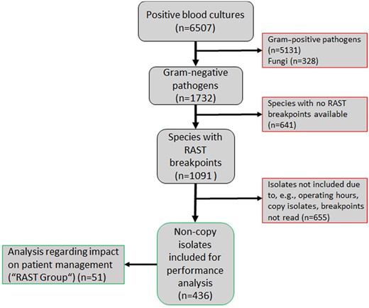 Flow chart, showing the inclusion of Gram-negative isolates. This figure appears in colour in the online version of JAC and in black and white in the print version of JAC.