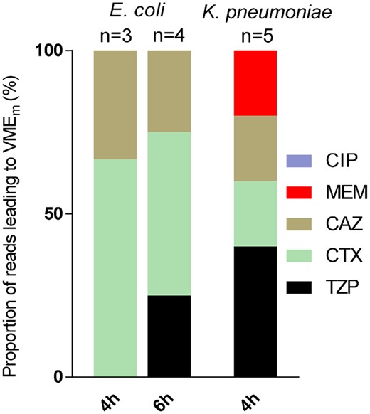 Cumulative bar graphs depicting reads of antibiotics within the VMEm range by substance in E. coli and K. pneumoniae after 4 and 6 h of incubation. Numbers represent the reads leading to VMEm. CIP, ciprofloxacin; MEM, meropenem; CAZ, ceftazidime; CTX, cefotaxime; TZP, piperacillin/tazobactam. This figure appears in colour in the online version of JAC and in black and white in the print version of JAC.