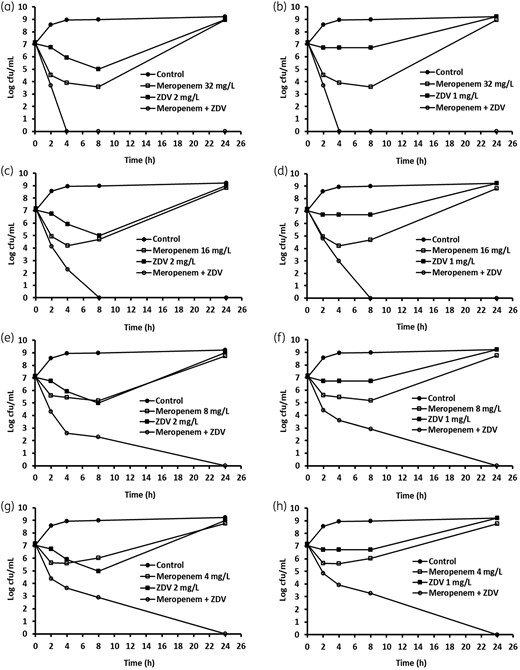 Time–kill analysis showing the effects of zidovudine (ZDV) in combination with meropenem against NDM-1-producing K. pneumoniae BAA-2472. ZDV and meropenem alone or in combination were added to the log-phase cultures and cfu counts were carried out at different timepoints.