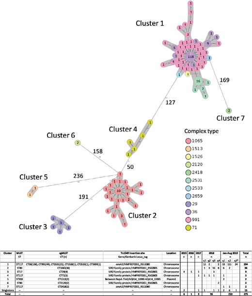 MST based on cgMLST of vanB VREfm (n = 260) identified in the Capital Region of Denmark, January 2015–August 2019. Fifteen singletons are removed from the figure. Circles represent a specific core-genome allelic profile and the numbers correspond to numbers of isolates with this specific profile. The colours indicate complex types (CTs) and clusters are marked in grey. The numbers next to the lines correspond to allele distances between the isolates. The chart indicates the association between clusters, STs, CTs, Tn1549 location in the genome, Tn1549 insertion sites and sampling dates. This figure appears in colour in the online version of JAC and in black and white in the print version of JAC.