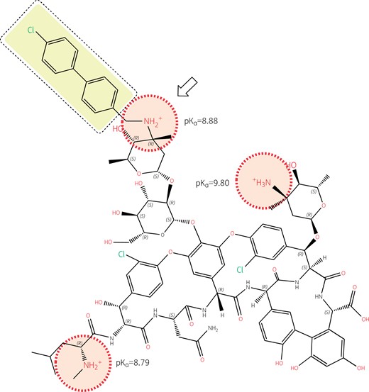 Structure of oritavancin with emphasis on its ionizable functions and hydrophobic side chain. Oritavancin is a large molecule compared to most other antibiotics (projection area: 183–281 Å2; van der Waals volume: 1254 Å3), which explains its lack of penetration through the outer membrane of Gram-negative organisms, hence its lack of activity against these pathogens, as well as its complete lack of oral bioavailability and necessity for parenteral administration. While the un-ionized form of oritavancin is highly lipophilic (logP = 9.32) due to the presence of the 4′-chlorobiphenyl methyl moiety (highlighted in yellow), the molecule is made polycationic at both pH 7.4 and 5.5 due to the presence of 3 amino functions with pKas >8.5, and further gains in polarity due to the large number of ketones and hydroxyl functions with electronic de-localizations (several of which are involved in the binding of the d-Ala-d-Ala termini of the peptidoglycan precursors), showing a globally strong negative logD at both neutral and acidic pHs (−16.67 and −7.33 at pH 7.4 and 5.5, respectively). Oritavancin has, therefore, a marked amphiphilic character favouring its interaction with negatively charged membrane phospholipids (abundant in Gram-positive bacteria). This causes membrane rigidification and permeabilization,88,89 which may contribute to, and enhance the bactericidal activity of oritavancin, including against intracellular,90 and biofilm-encased S. aureus.91,92 The 4′ chlorobiphenyl methyl increases the binding of oritavancin to the d-Ala-d-Ala terminus of the cell wall precursor so that modification of the terminal d-Ala to d-Lac in vancomycin-resistant organisms using the VanA mechanism is insufficient to markedly affect oritavancin activity.93 The correct positioning of the 4′ chlorobiphenyl methyl moiety, however, requires the presence of a closely apposed positive charge (see arrow), which is specific to oritavancin. Structures and calculations were made with Marvin sketch 21.13 (Chemaxon, Budapest, Hungary).
