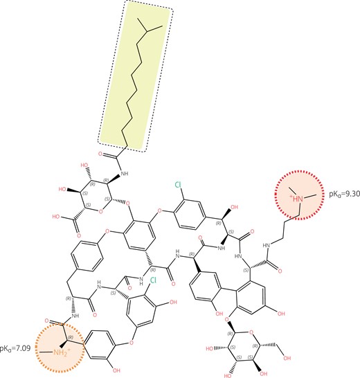 Structure of dalbavancin with emphasis on its ionizable functions and hydrophobic side chain. Like oritavancin, dalbavancin is a large molecule (projection area: 223–332 Å2; van der Waals volume: 1557 Å3) with complete lack of activity against Gram-negative pathogens and no oral bioavailability. Like vancomycin, it binds to the d-Ala-d-Ala termini of peptidoglycan precursors and, like oritavancin, its activity is also enhanced by a long hydrophobic tail (highlighted in yellow). However, the logP of dalbavancin (un-ionized form) is less positive (3.04), and its logD (ionized form) less negative (−0.25 at pH 7.4 and −1.28 at pH 5.5) than those of oritavancin, because the molecule has only two amino functions, with one having a pKa of only 7.09. The molecule is thus predominantly monocationic at pH 7.4 and becomes dicationic only at acidic pH. Its weaker amphiphilic character may decrease its interaction with bacterial membranes compared with oritavancin,94 although enhancement of activity compared with vancomycin has been demonstrated.95 Note also that, in contrast to oritavancin, there is no ionizable group in close vicinity to the hydrophobic side chain. Structures and calculations were made with Marvin sketch 21.13 (Chemaxon, Budapest, Hungary).