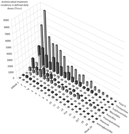 AMU in 38 veal-fattening operations, calculated as treatment incidence in defined daily doses (TIDDD) according to the method of the EMAa. Treatments were grouped by week of the fattening period, for antimicrobial classesb and overall use. aSee Table 1 for footnotes. bClasses with <10 treatments are not shown separately but appear in total TI. ◊Beginning of the fattening period (Week 1). Age of the calves was 4.6 (3.7/5.4) weeks (median, 25th/75th quantiles). *Timepoint of treatment: calves were treated at Week 4.4 (3.3/5.4) of the fattening period. ‡Timepoint of swabbing: calves were swabbed at Week 14.3 (12.3/16.9) of the fattening period. §Duration of the fattening period: 17.0 (15.0/19.0) weeks.